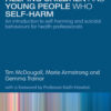 Helping Children and Young People who Self-harm - 1st Edition