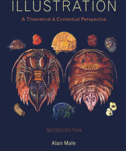 Illustration - 2nd Edition
